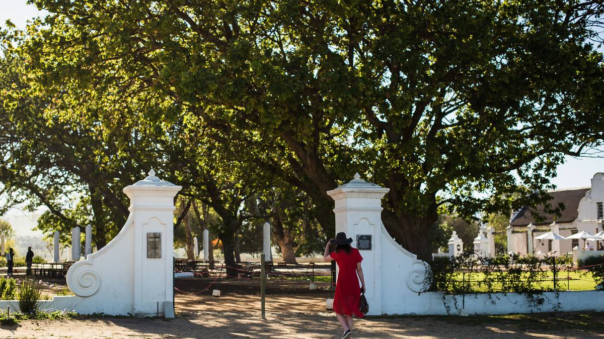 Dégustation de vins de Stellenbosch et Franschhoek (Privé)