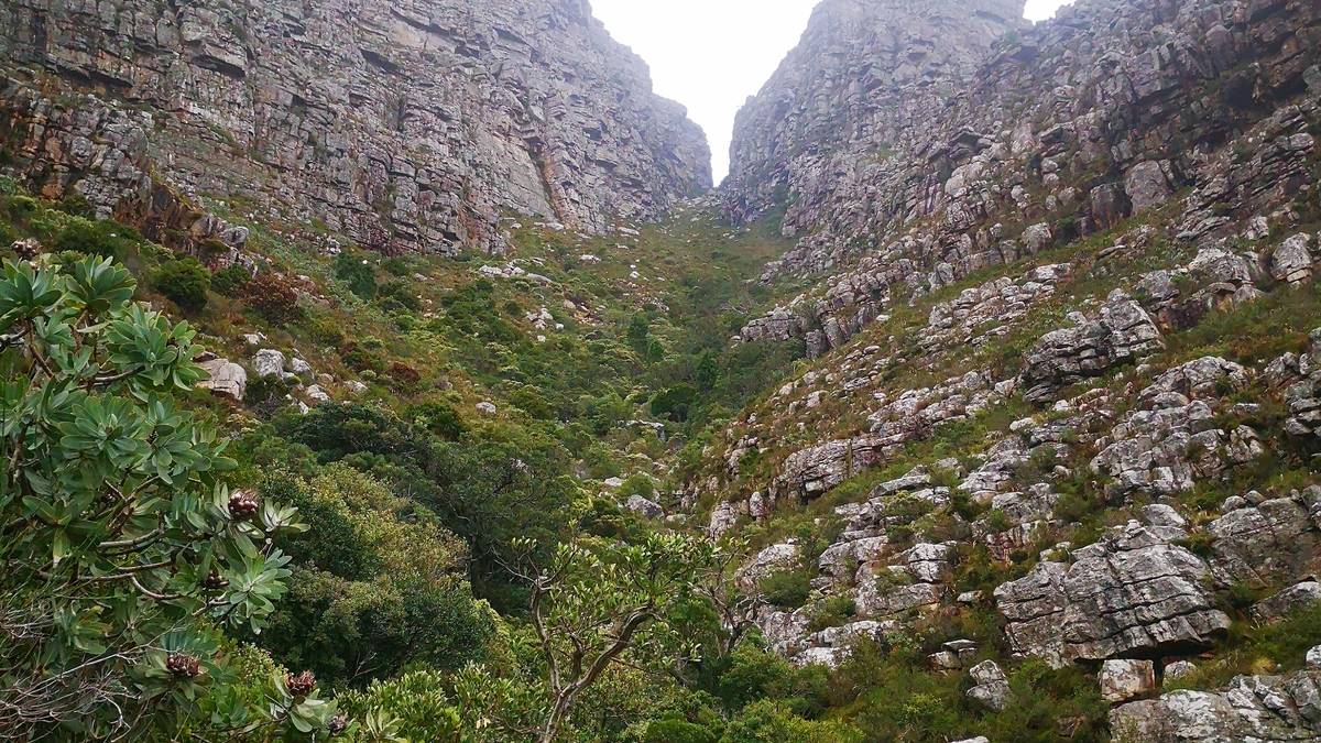 Randonnée de Table Mountain (via Platteklip)