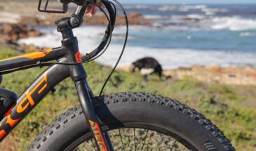 Cape Point South Africa ebike tour