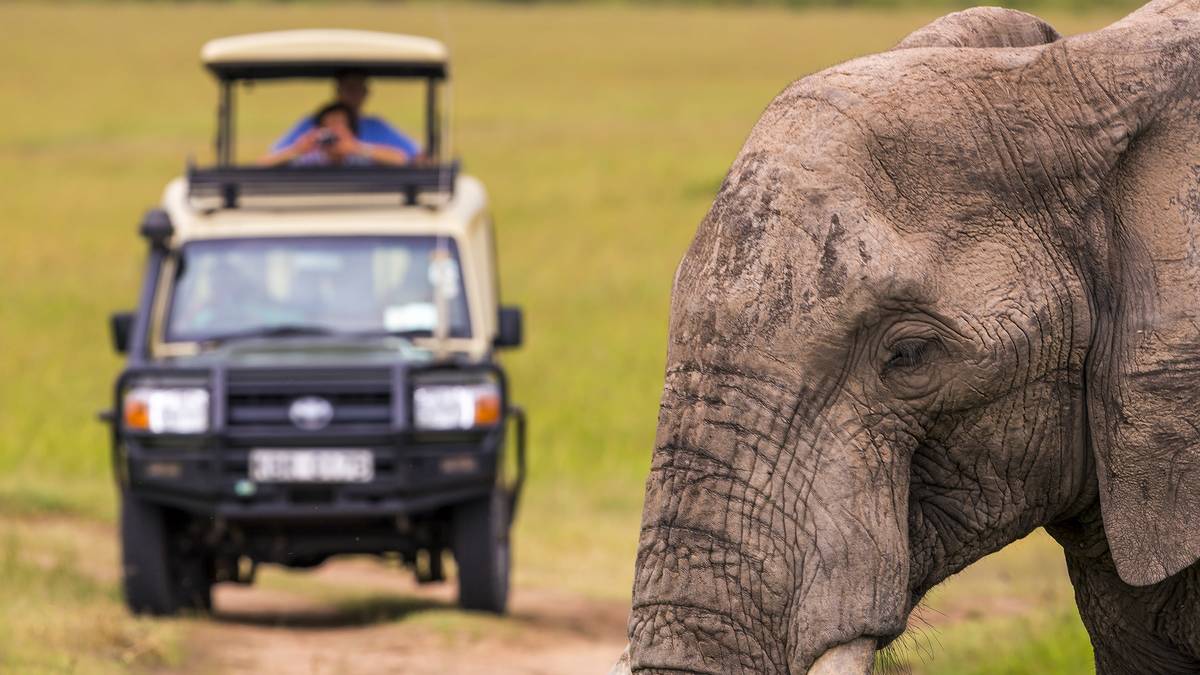 Safari de 3 jours dans le parc Kruger